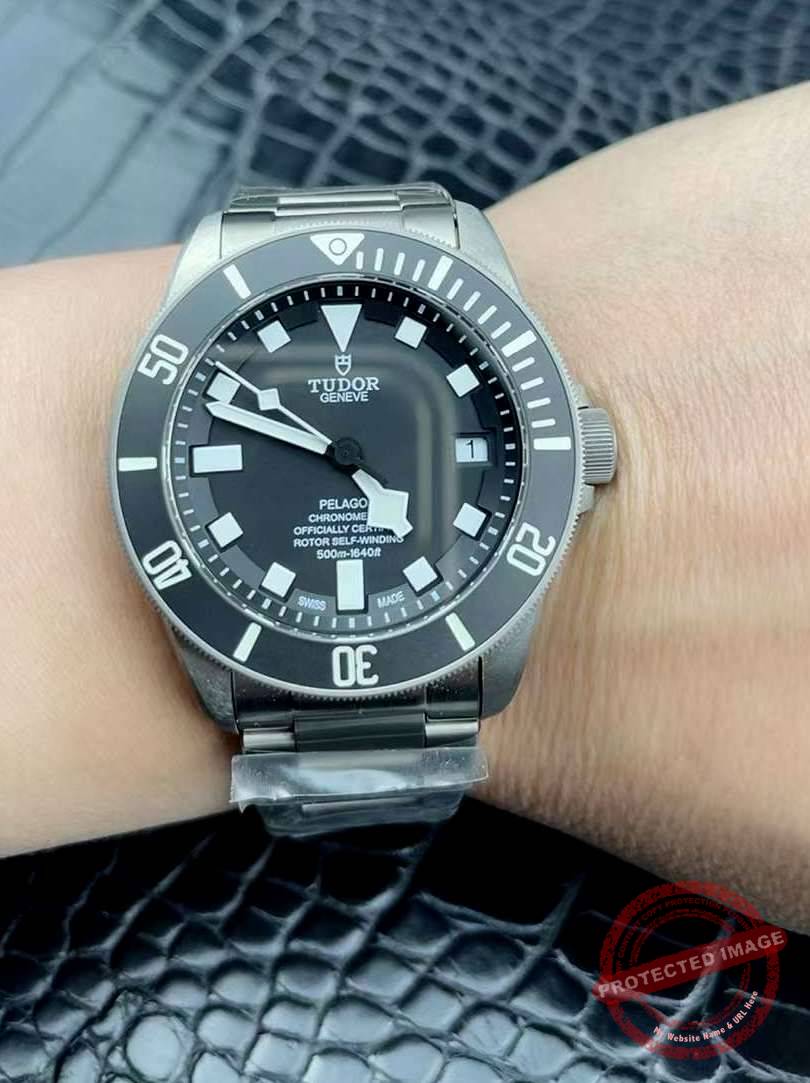 Tudor pelagos titanium replica