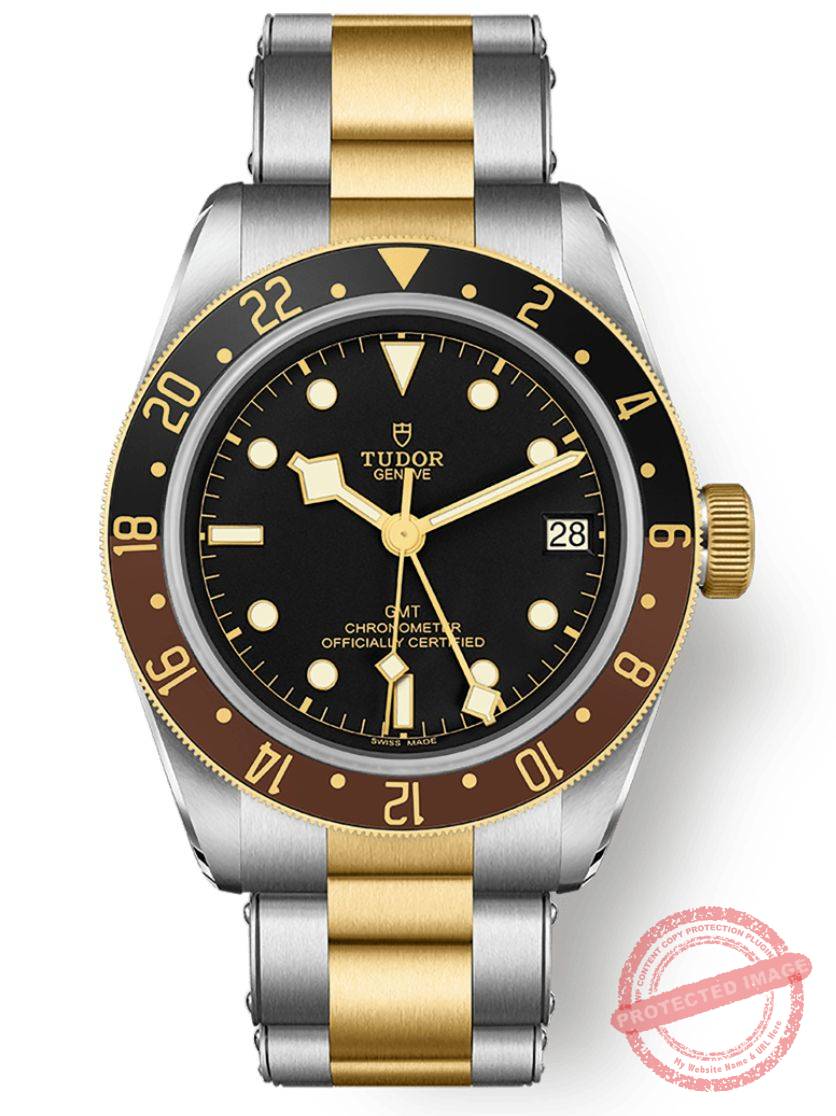 tudor black bay gmt s&g