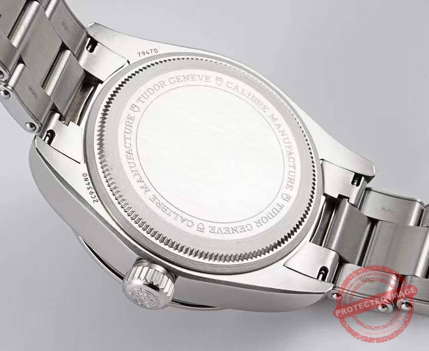 tudor black bay pro watch